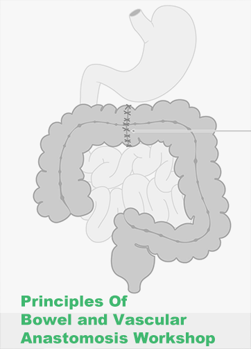 Principles Of Bowel and Vascular Anastomosis Workshop
